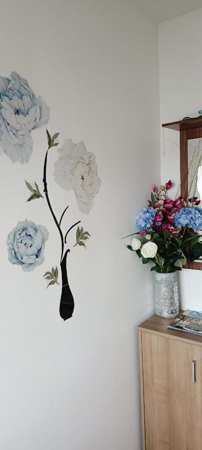 Apartment Dorina บูเย ภายนอก รูปภาพ