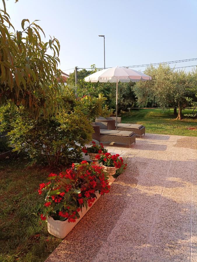 Apartment Dorina บูเย ภายนอก รูปภาพ
