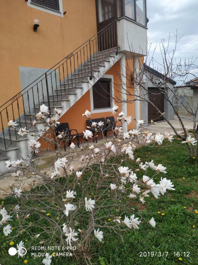 Apartment Dorina บูเย ภายนอก รูปภาพ